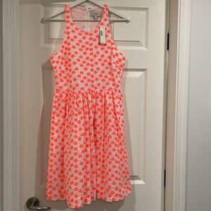J Crew dress